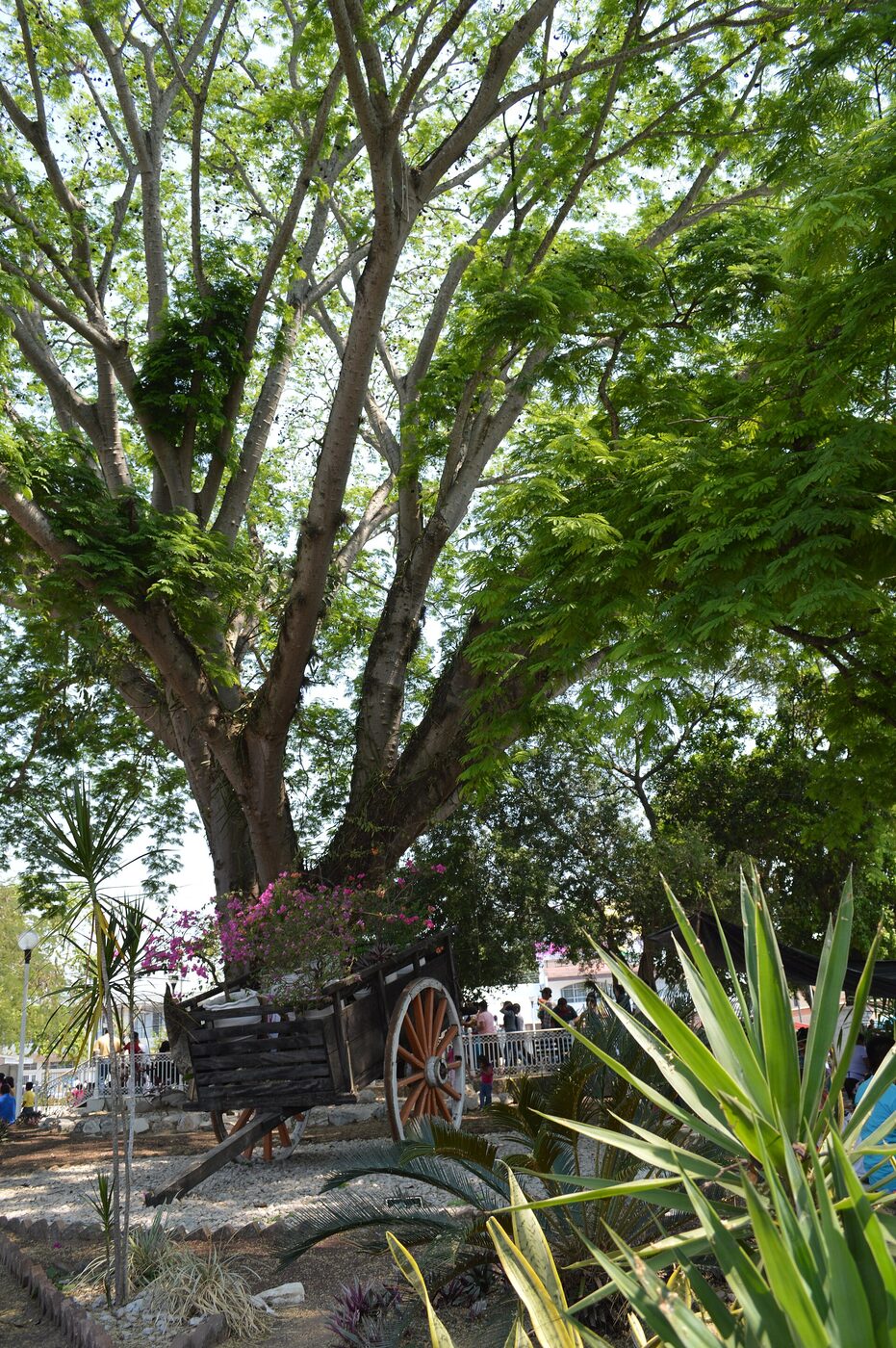 Catedral de Tuxtepec en Tuxtepec